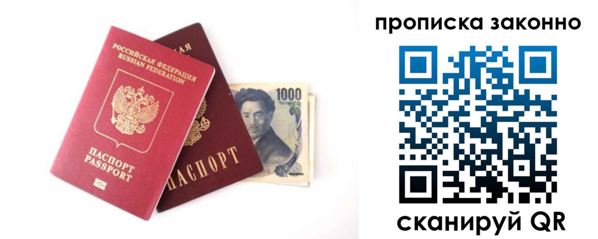 прописка 2025 в Кольчугино